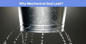 Why Mechanical Seal Leak? - LEAK-PACK